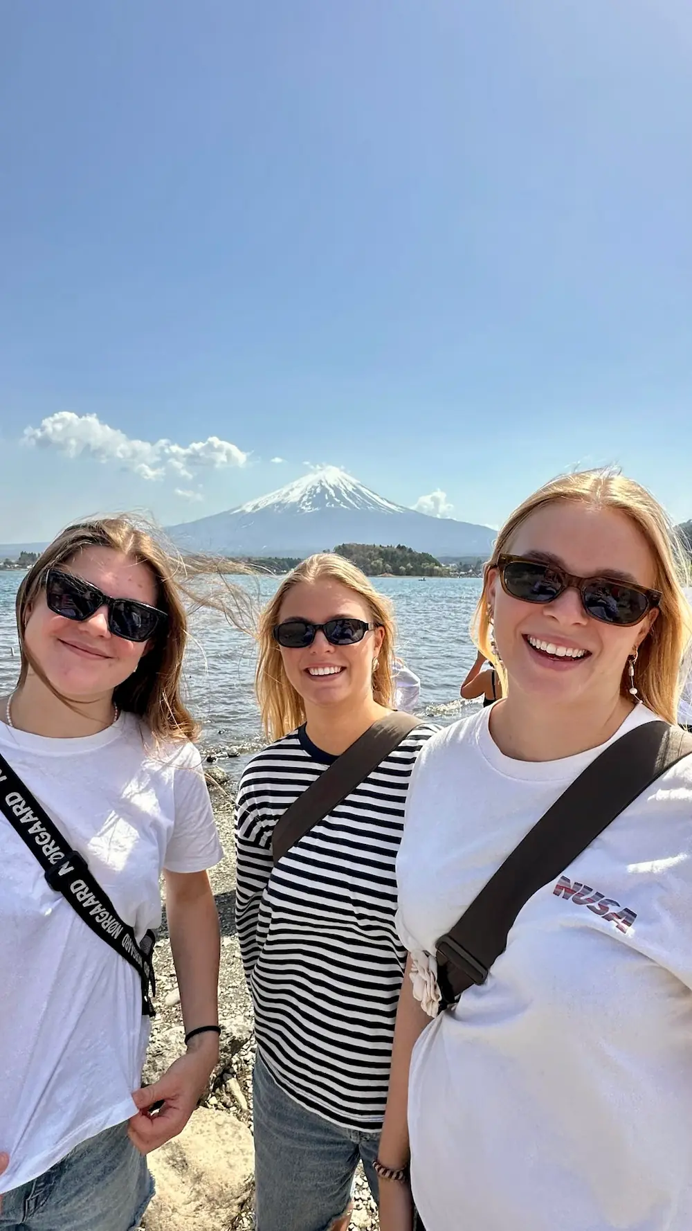 Elever foran Mt. fuji på højskole i udlandet