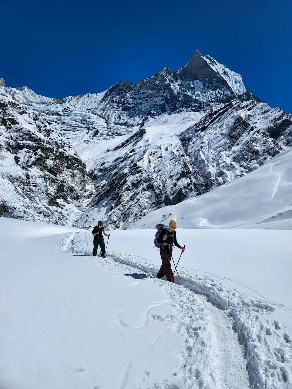 elever trekker i himalayabjergene på højskole i udlandet