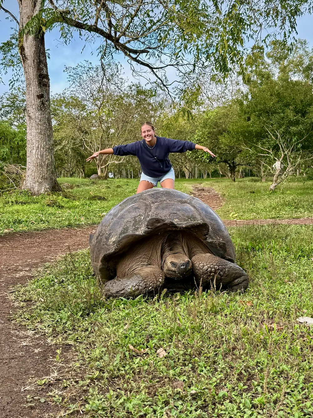 En højskoleelev står bag en kæmpeskildpade på Galapagos på højskole i udlandet