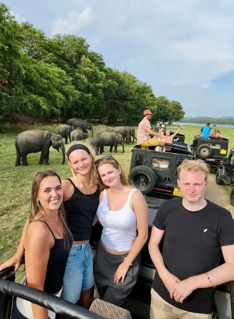 elever i jeep på elefantsafari på sri lanka på højskole i udlandet